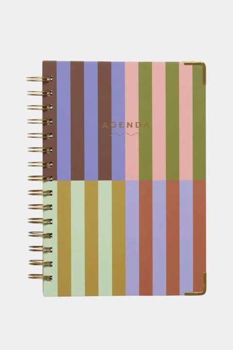 AGENDA PLANIFICADOR: RAYAS